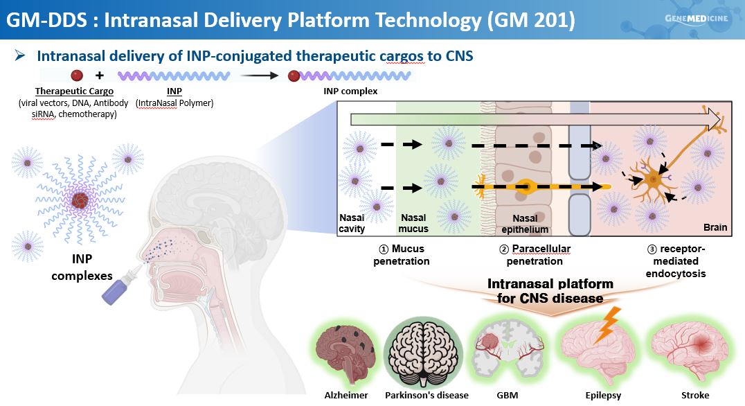 비강 투여를 통해 뇌 질환을 정밀하고 효율적으로 타겟팅하는 혁신적 전달 플랫폼 기술
