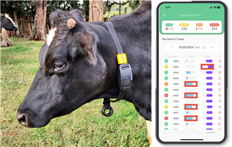 정교한 소의 움직임 분석을 통한 AI기반 정밀사육 솔루션