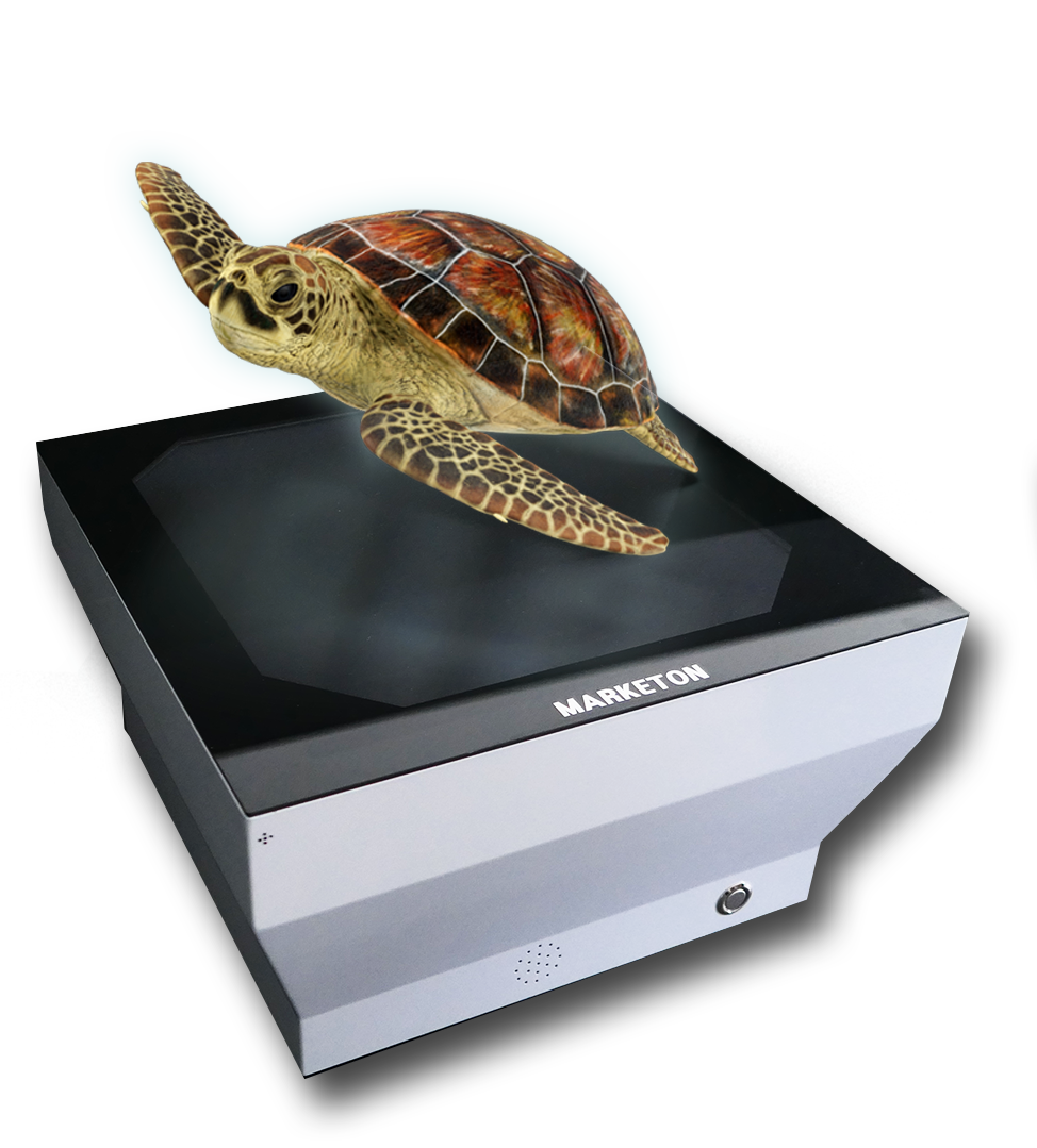 홀로-뮤지엄(MKT10)